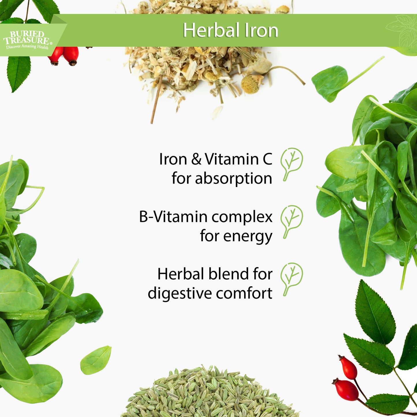 Herbal Iron - Liquid Iron Supplement with Vitamins & Herbs for Women - Supports Iron Levels, Energy - Superfood Ingredients - Vegan Iron for Men and Women - 16oz 48 Servings