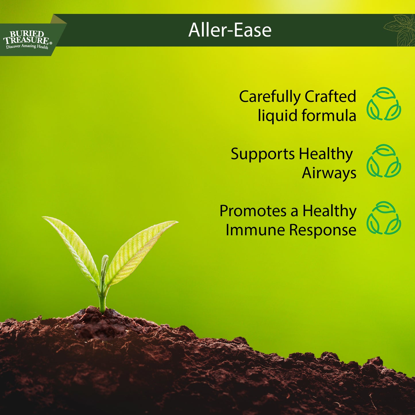 Aller Ease - Respiratory Health Liquid Supplement with Quercetin, Bromelain, Vitamin C, and Zinc, Supports Healthy Immune Function and Sinus Comfort, Non-Drowsy Formula, 16 fl oz