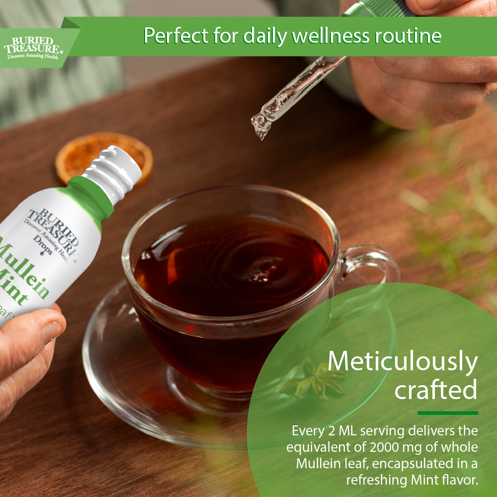 2oz Mullein Mint Drops | Mint-Flavored Herbal Respiratory Support | 200mg 10:1 Extract | Alcohol-Free