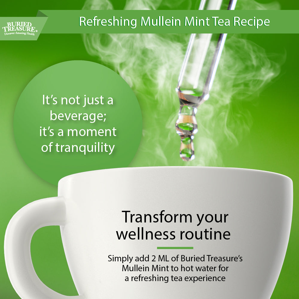 2oz Mullein Mint Drops | Mint-Flavored Herbal Respiratory Support | 200mg 10:1 Extract | Alcohol-Free