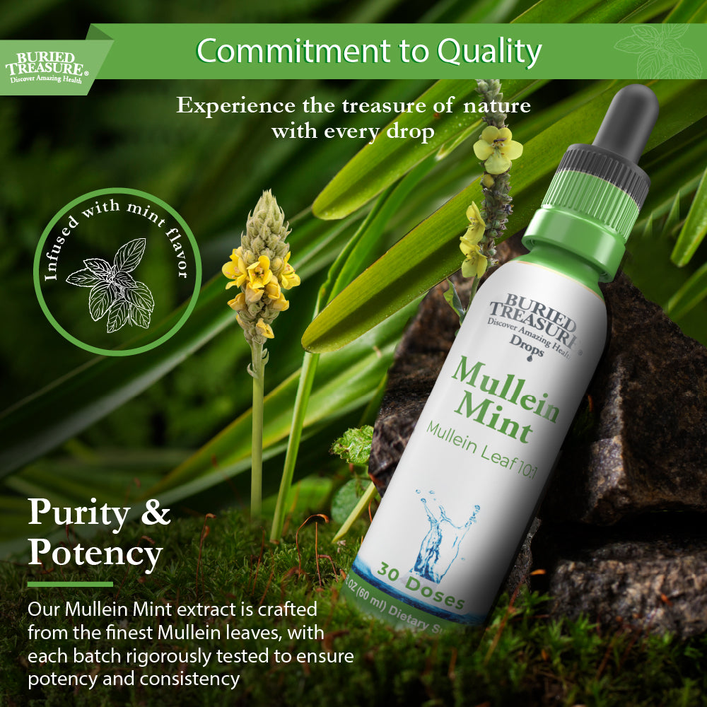 2oz Mullein Mint Drops | Mint-Flavored Herbal Respiratory Support | 200mg 10:1 Extract | Alcohol-Free